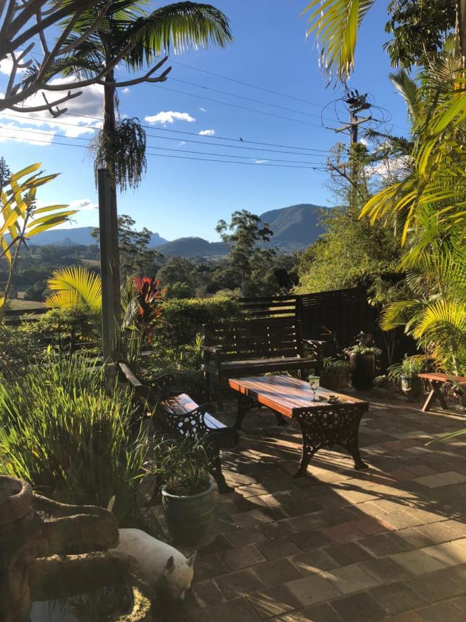 Grey Gum Lodge Nimbin Ngoại thất bức ảnh