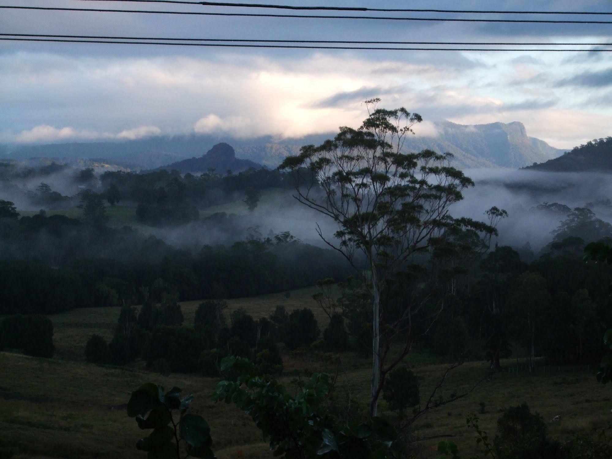 Grey Gum Lodge Nimbin Ngoại thất bức ảnh